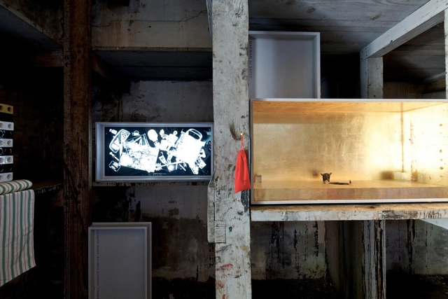 Venice Biennale 2012: Wunderkammer / Tod Williams Billie Tsien Architects - Featured Image