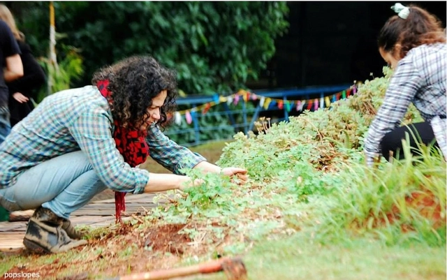 Sesc SP promove curso sobre agroecologia urbana  - Imagem de Destaque