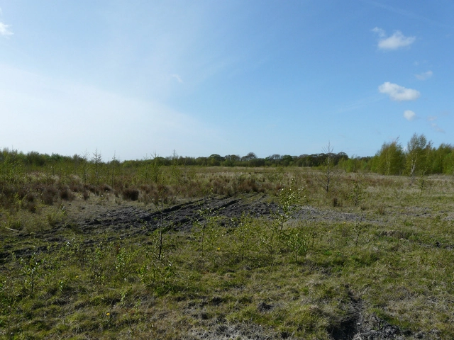 New Visitor Destination & Public Open Space at Cronton Colliery - Ideas Masterplan Competition - Featured Image