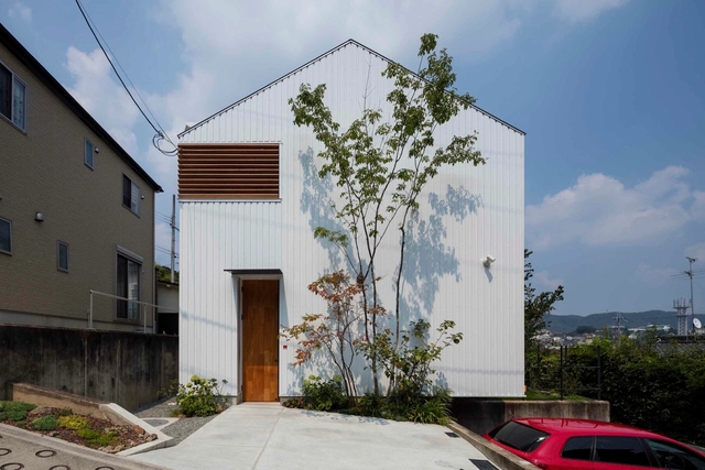 Casa en Ikoma / Arbol - Casas