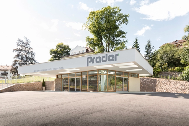 Grocery Store / Messner Architects - Store, Facade