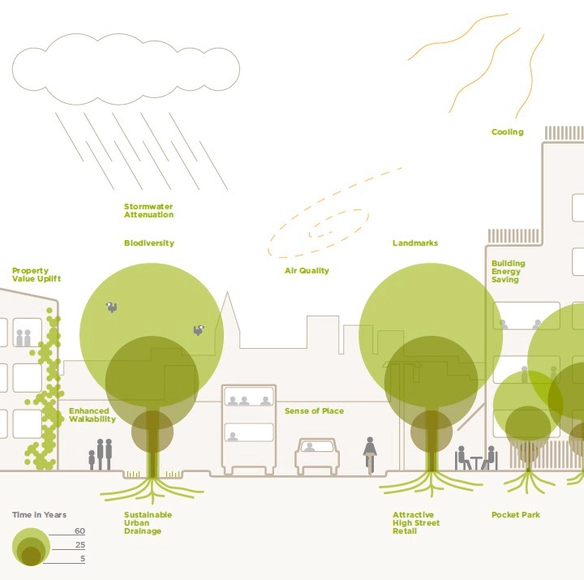 The Planners' Guide to Trees in the Urban Landscape - Featured Image
