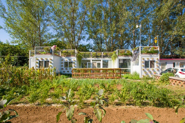 Casa Alface / HE Ding, WANG Wei, KONG Lingchen - Sustentabilidade