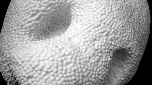 Installation: JB1.0: Jamming Bodies - Featured Image