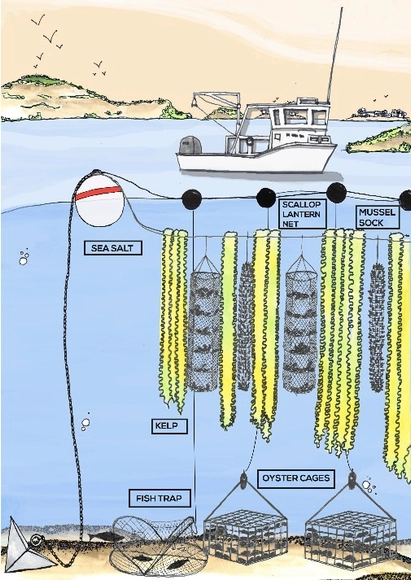 Projeto de fazendas oceânicas vence o Buckminster Fuller Challenge 2015 - Imagem de Destaque