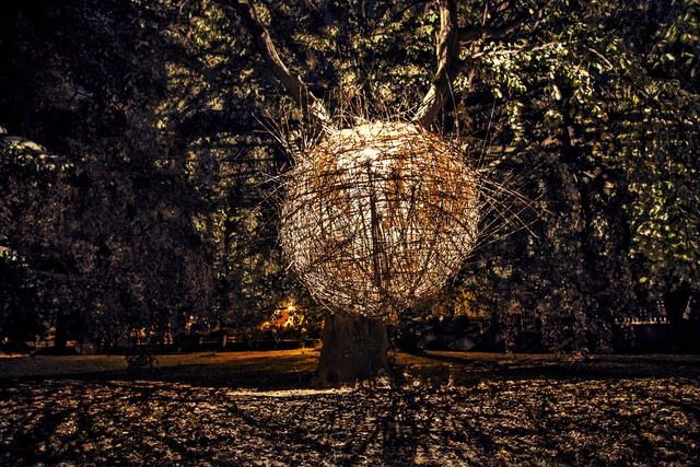 O Ninho / Jan Tyrpekl - Imagem de Destaque