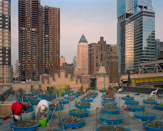 Design Trust and Farming Concrete Release World’s First Public Urban Agriculture Database - Sustainability
