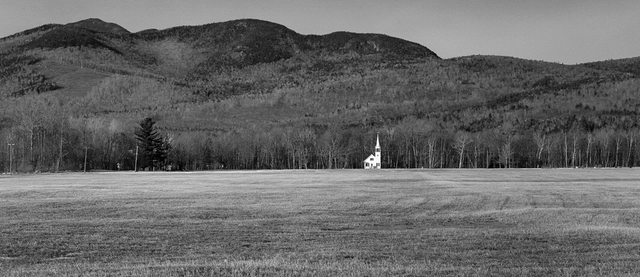 Opening Reception: White on White - Featured Image