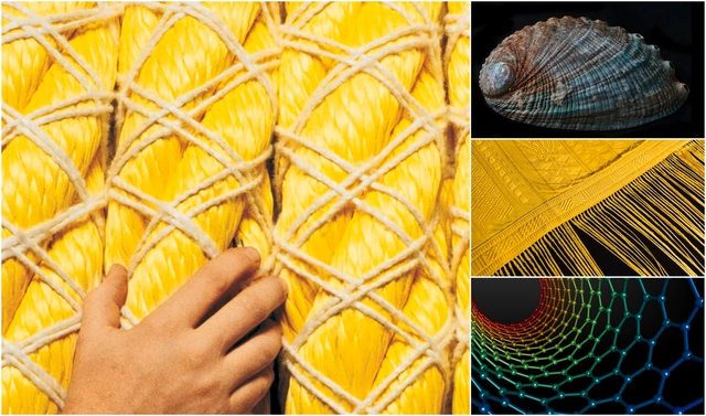 Carbon Nanotubes, Kevlar and Spider Silk: Meet the World's Strongest New Materials - Featured Image
