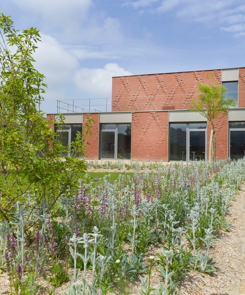 Casa de la solidaridad / Ellenamehl architects - Arquitectura De Oficinas