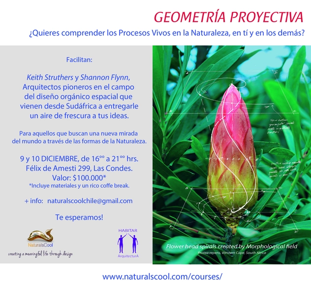 Curso: Geometría Proyectiva - Imagen Principal