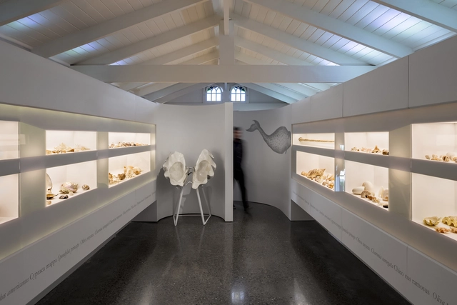 Projeto Sala Caracolas / Shift Arquitectos - Museu