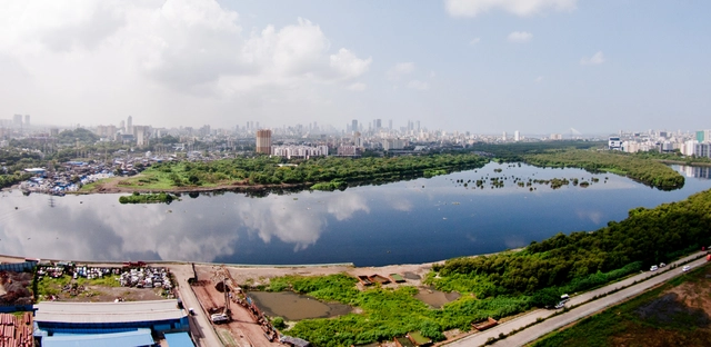 Global Design Competition for a Nature Park & Pedestrian Bridge in Mumbai - Featured Image