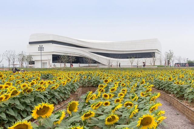 它是英国最重要的新锐建筑师奖项今年唯一入选的中国作品！ - 主图