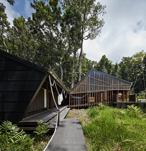 Hogar Cape Tribulation  / M3 architecture - Casas