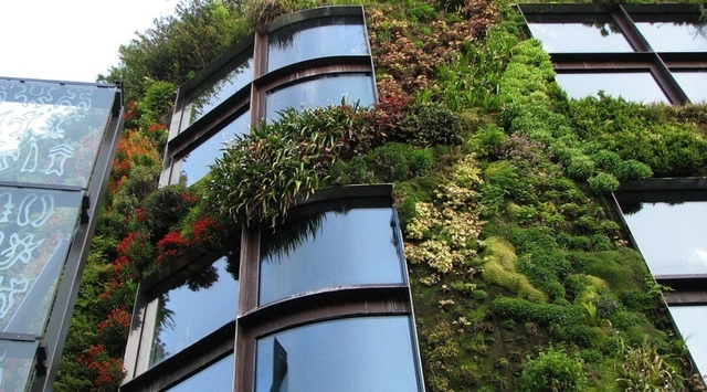 Todas as paredes podem ser vivas com o concreto verde - Imagem de Destaque