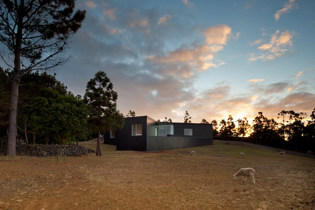 C/Z住宅 / SAMI-arquitectos - 居住室内设计