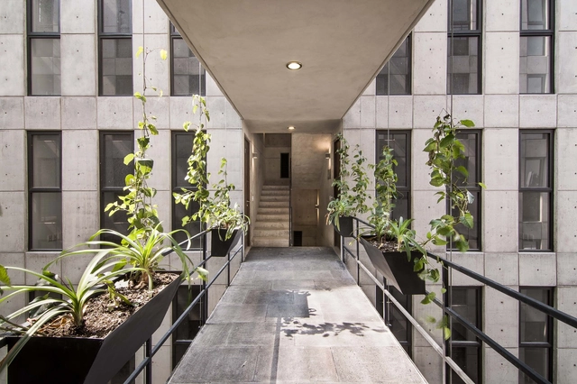 Popocatepetl 143 / HGR Arquitectos - Apartamentos, Jardín, Fachada, Puerta, Barandas