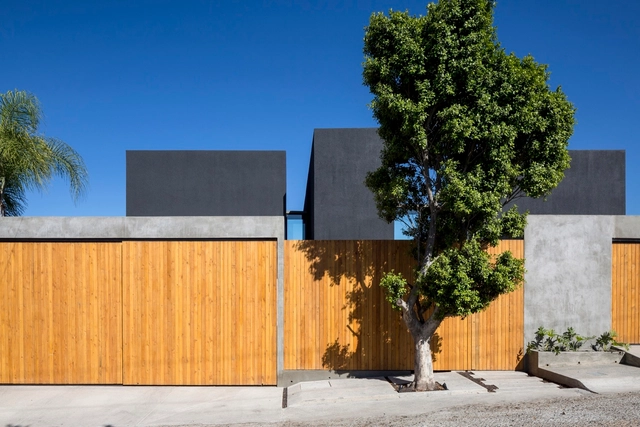 TLP House / T38 Studio - Houses, Facade