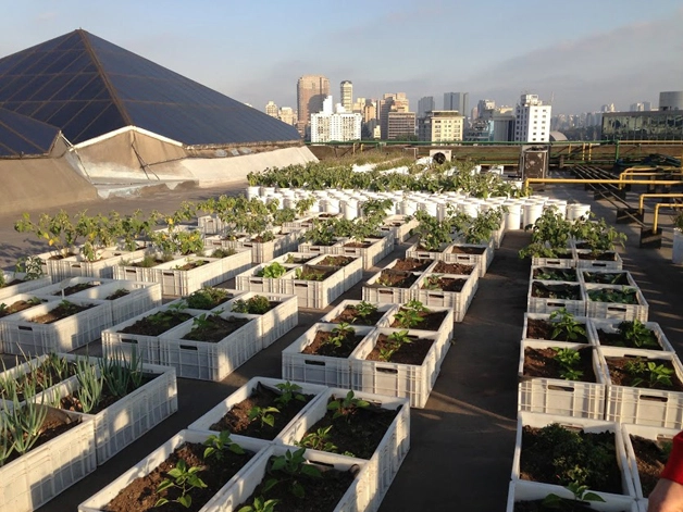 Shopping de São Paulo vence prêmio de sustentabilidade com horta e composteira em sua cobertura - Imagem de Destaque