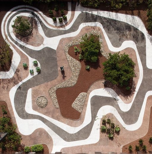 Roberto Burle Marx: Brazilian Modernist - Featured Image