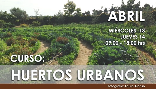 Curso 'Huertos Urbanos' / Ciudad de México - Imagen Principal