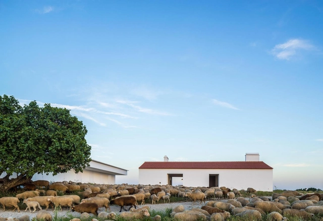 Monte da Azarujinha / Aboim Inglez Arquitectos - Turismo