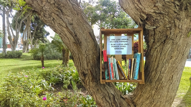 Arbolibros: Cultivando la lectura en los espacios públicos - Imagen Principal