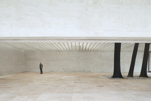 Clásicos de Arquitectura: Pabellón de los Países Nórdicos en Venecia / Sverre Fehn - Pabellón