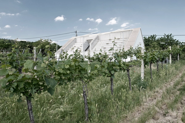 Weinblich / March Gut - Tienda