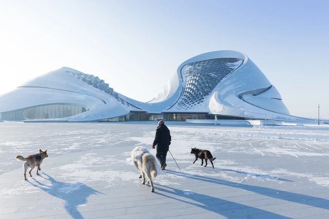 Opera Harbin bajo el lente de Iwan Baan - Imagen Principal
