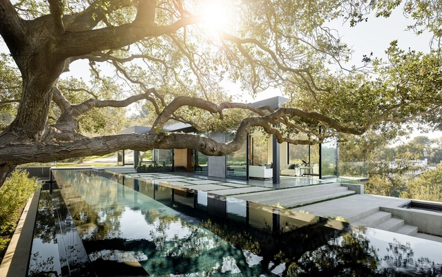 Casa Oak Pass / Walker Workshop - Casas