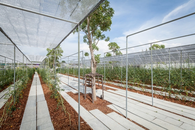 Proyecto CORO - Fase 1 / Integrated Field - Arquitectura Industrial