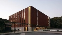 Madera MSD - Impregnado