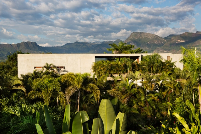 Casas Nilo / Alberto Burckhard + Carolina Echeverri - Casas, Jardín, Bosque