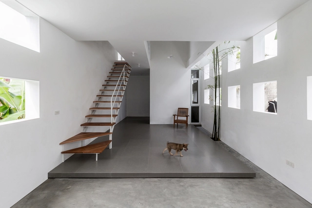 The Cul-de-sac House / Nguyen Khac Phuoc Architects - Houses, Stairs, Handrail
