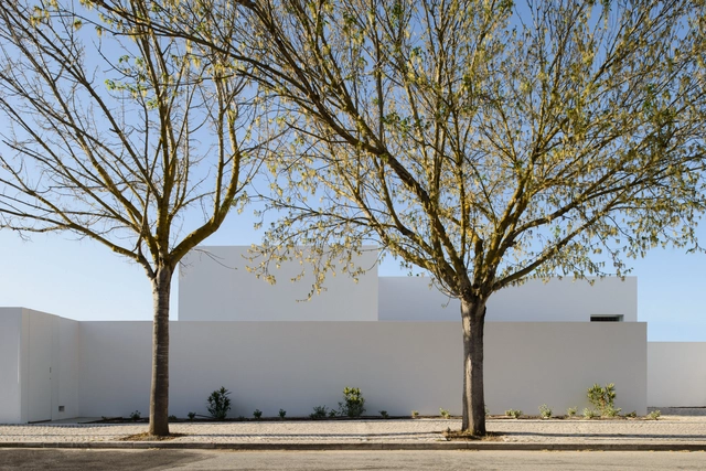 House in Oeiras  / Pedro Domingos Arquitectos - Houses, Facade