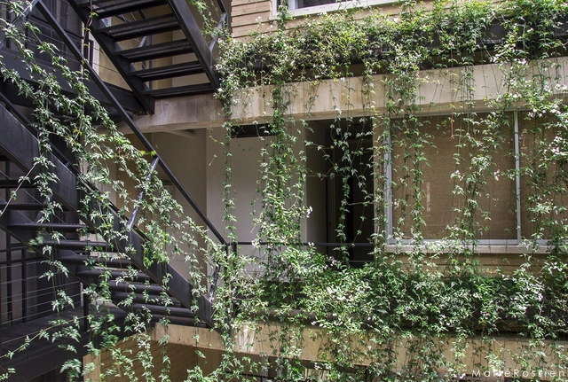 Edificio Bohío / David Delgado Arquitectos - Residencial, Jardín, Fachada
