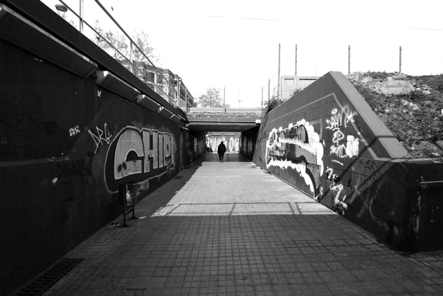 Pasajes, espacios transicionales para la ciudad del siglo XXI - Imagen Principal
