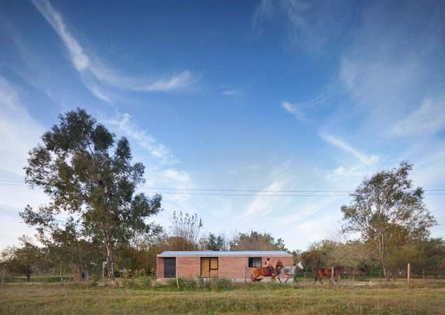 Casa Bovero / German Müller - Casas, Bosque