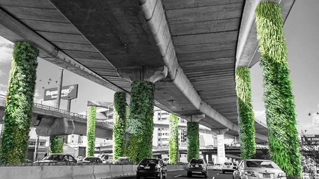 Vía Verde: Un nuevo debate de sustentabilidad en México - Imagen Principal