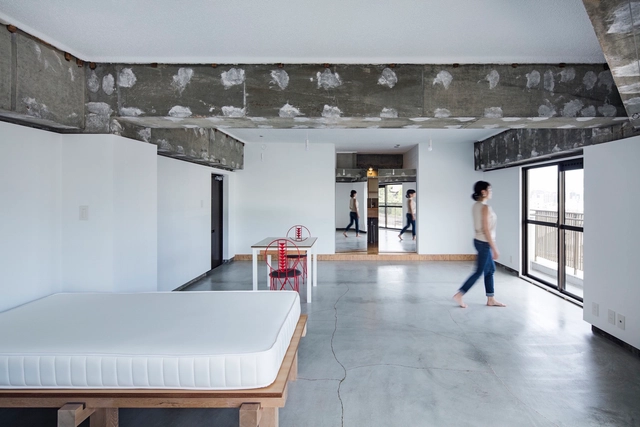 Apartamentos Xchange / TANK - Apartamentos