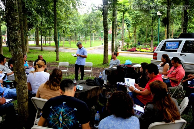 Curso Profesional de Diseño y Construcción de Jardines Verticales / Santiago, Chile - Imagen Principal