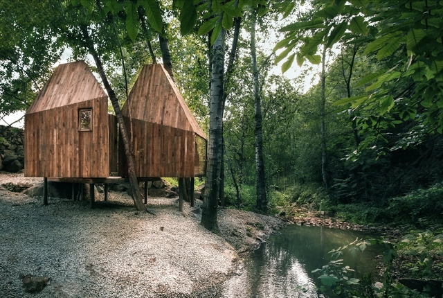La Casa del Árbol / Wee Studio - Casas
