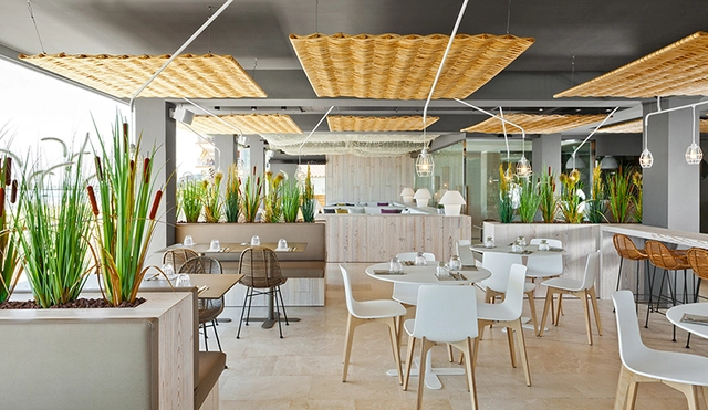 Les Algues Chill and drinks  / Dom Arquitectura  - Renovación