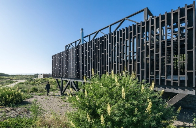 Casas Grove / WMR Arquitectos - Casas
