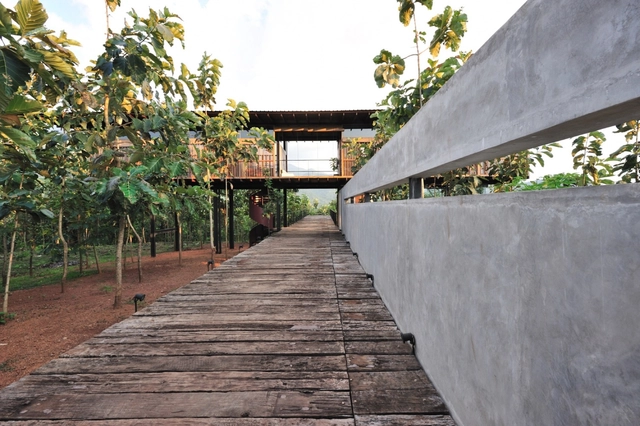 Matale 度假屋 / Thisara Thanapathy Associates - 独立住宅