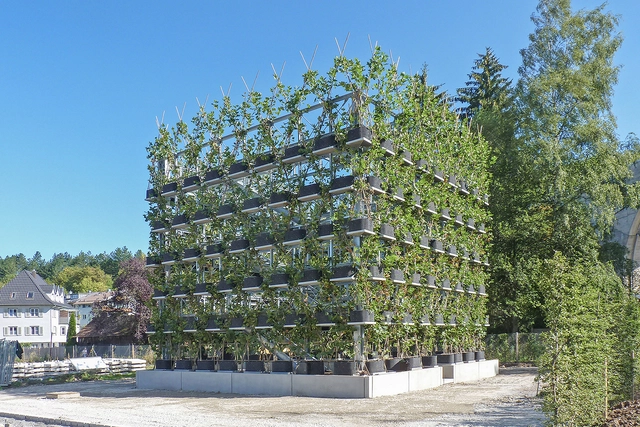 A Hybrid of Living Nature and Technology - Featured Image