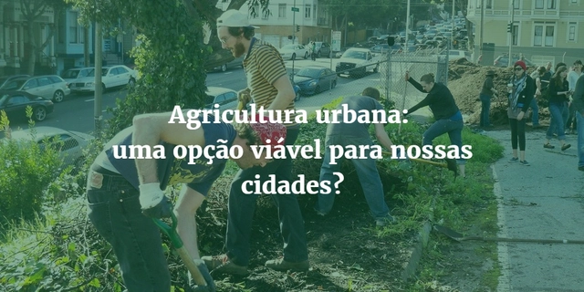 Agricultura urbana: uma opção viável para nossas cidades? - Imagem de Destaque