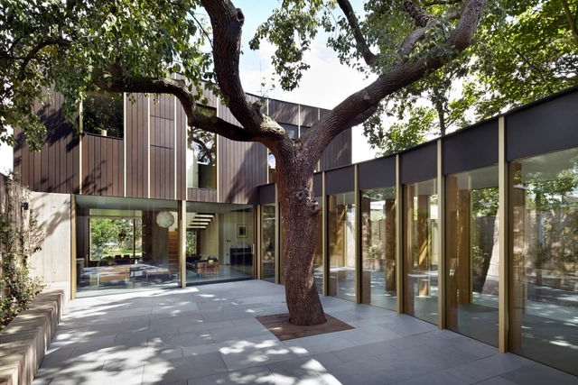 Casa árbol de pera / Edgley Design - Casas
